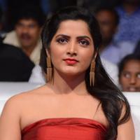 Pavani Latest Gallery | Picture 1391762