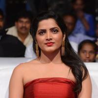 Pavani Latest Gallery | Picture 1391763