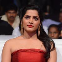 Pavani Latest Gallery | Picture 1391770