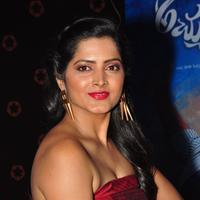 Pavani Latest Gallery | Picture 1391812
