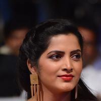 Pavani Latest Gallery | Picture 1391866
