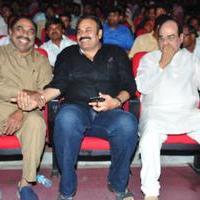 Chiranjeevi Birthday 2016 Celebrations Photos | Picture 1396967