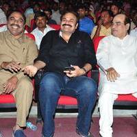 Chiranjeevi Birthday 2016 Celebrations Photos | Picture 1396969