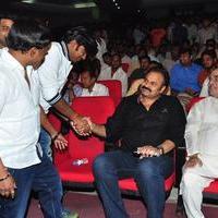 Chiranjeevi Birthday 2016 Celebrations Photos | Picture 1397213