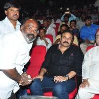 Chiranjeevi Birthday 2016 Celebrations Photos | Picture 1397215