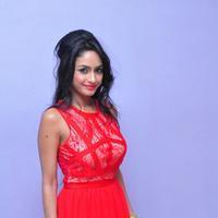 Saiya Re Album Launch Stills | Picture 1398271