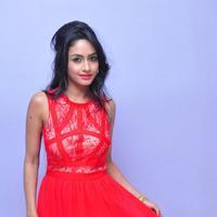 Saiya Re Album Launch Stills | Picture 1398284