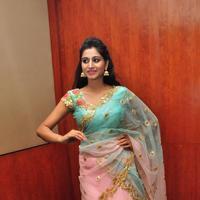 Hi Life Exhibition Curtain Raiser Launch Stills | Picture 1400382