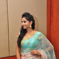 Hi Life Exhibition Curtain Raiser Launch Stills | Picture 1400409