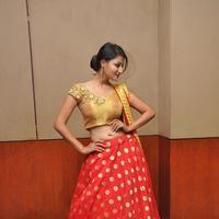 Hi Life Exhibition Curtain Raiser Launch Stills | Picture 1400521