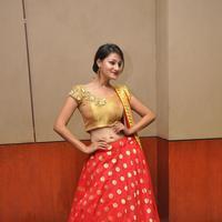 Hi Life Exhibition Curtain Raiser Launch Stills | Picture 1400524