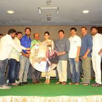 Mister 420 Movie Audio Launch Stills | Picture 1403949