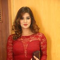 Nandhini at Shourya Movie Audio Launch Photos | Picture 1223233