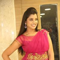 Shyamala at Speedunnodu Movie Platinum Disc Function Stills | Picture 1224212