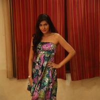 Sangeetha at Shourya Movie Audio Launch Stills | Picture 1222693