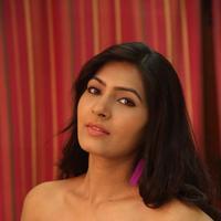Sangeetha at Shourya Movie Audio Launch Stills | Picture 1222695