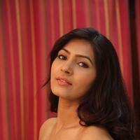 Sangeetha at Shourya Movie Audio Launch Stills | Picture 1222696