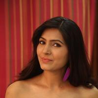 Sangeetha at Shourya Movie Audio Launch Stills