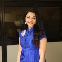 Mehreen New Stills | Picture 1229036