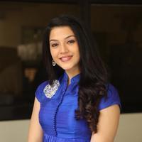 Mehreen New Stills | Picture 1229044