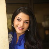 Mehreen New Stills | Picture 1229068