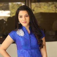 Mehreen New Stills | Picture 1229134