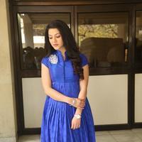 Mehreen New Stills | Picture 1229142