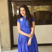 Mehreen New Stills | Picture 1229143