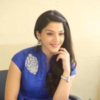 Mehreen New Stills | Picture 1229231