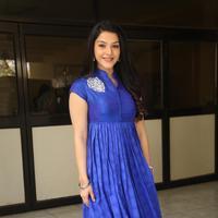 Mehreen New Stills | Picture 1229249