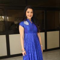 Mehreen New Stills | Picture 1229250