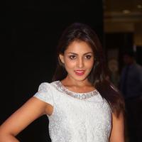 Madhu Shalini at Cancer Crusaders Invitation Cup Event Photos | Picture 1230836