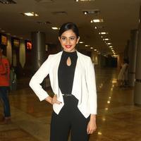 Rakul Preet Singh at Cancer Crusaders Invitation Cup Event Photos | Picture 1230710