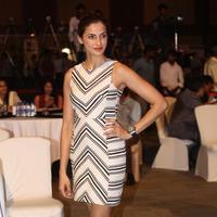 Shilpa Reddy at Cancer Crusaders Invitation Cup Event Stills | Picture 1231065