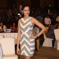 Shilpa Reddy at Cancer Crusaders Invitation Cup Event Stills | Picture 1231066