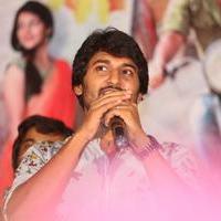 Krishna Gadi Veera Prema Gadha Movie Press Meet Photos | Picture 1233146