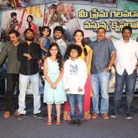 Krishna Gadi Veera Prema Gadha Movie Press Meet Photos | Picture 1233153