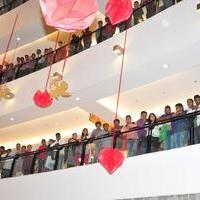 Krishna Gadi Veera Prema Gadha Movie Team at Inorbit Mall Stills | Picture 1233640