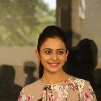 Rakul Preet Singh at Aditya Mehta Foundation Prelude of Infinity Ride 2016 Curtain Raiser Stills | Picture 1235202