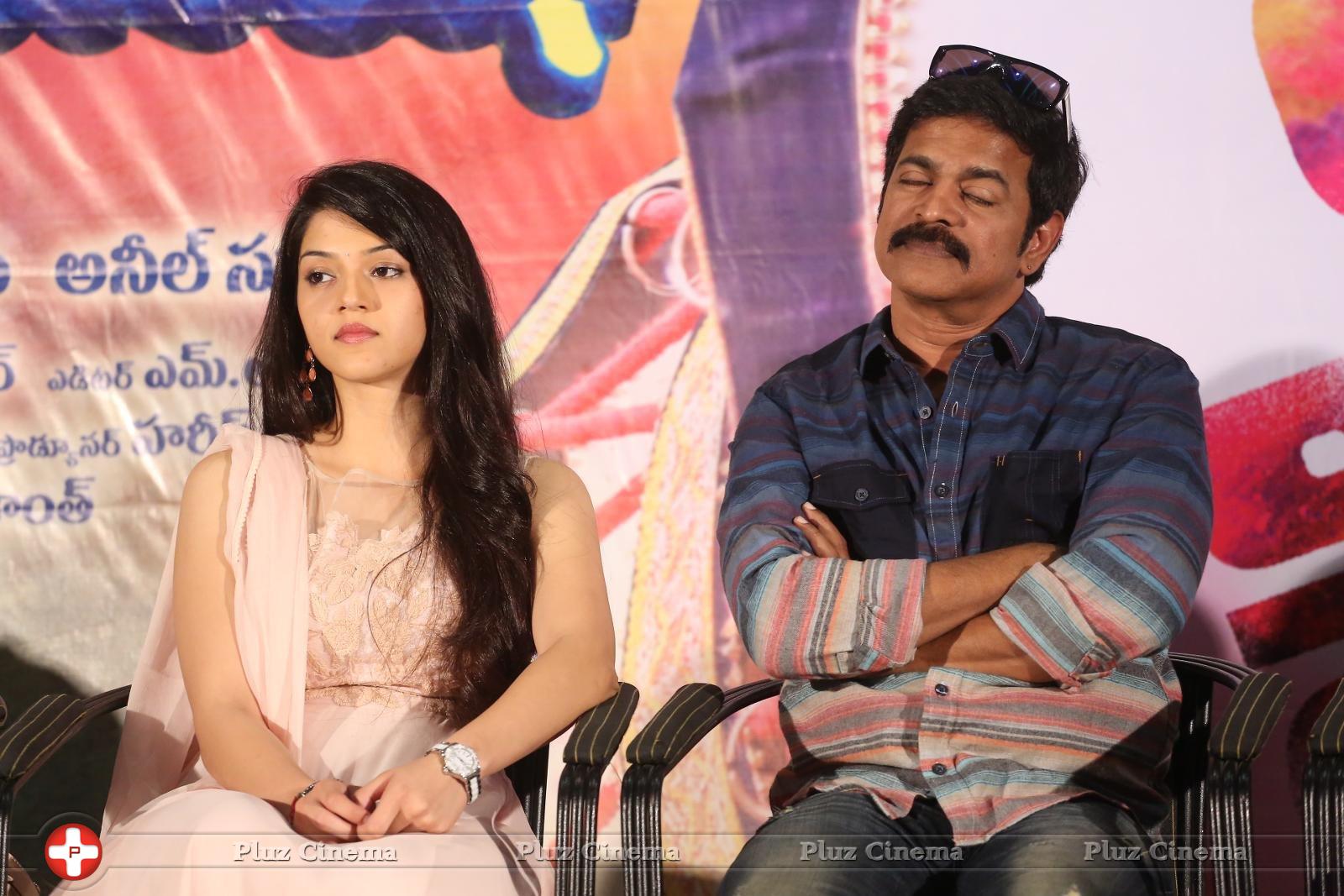 Krishna Gadi Veera Prema Gadha Movie Thanks Meet Stills | Picture 1235607