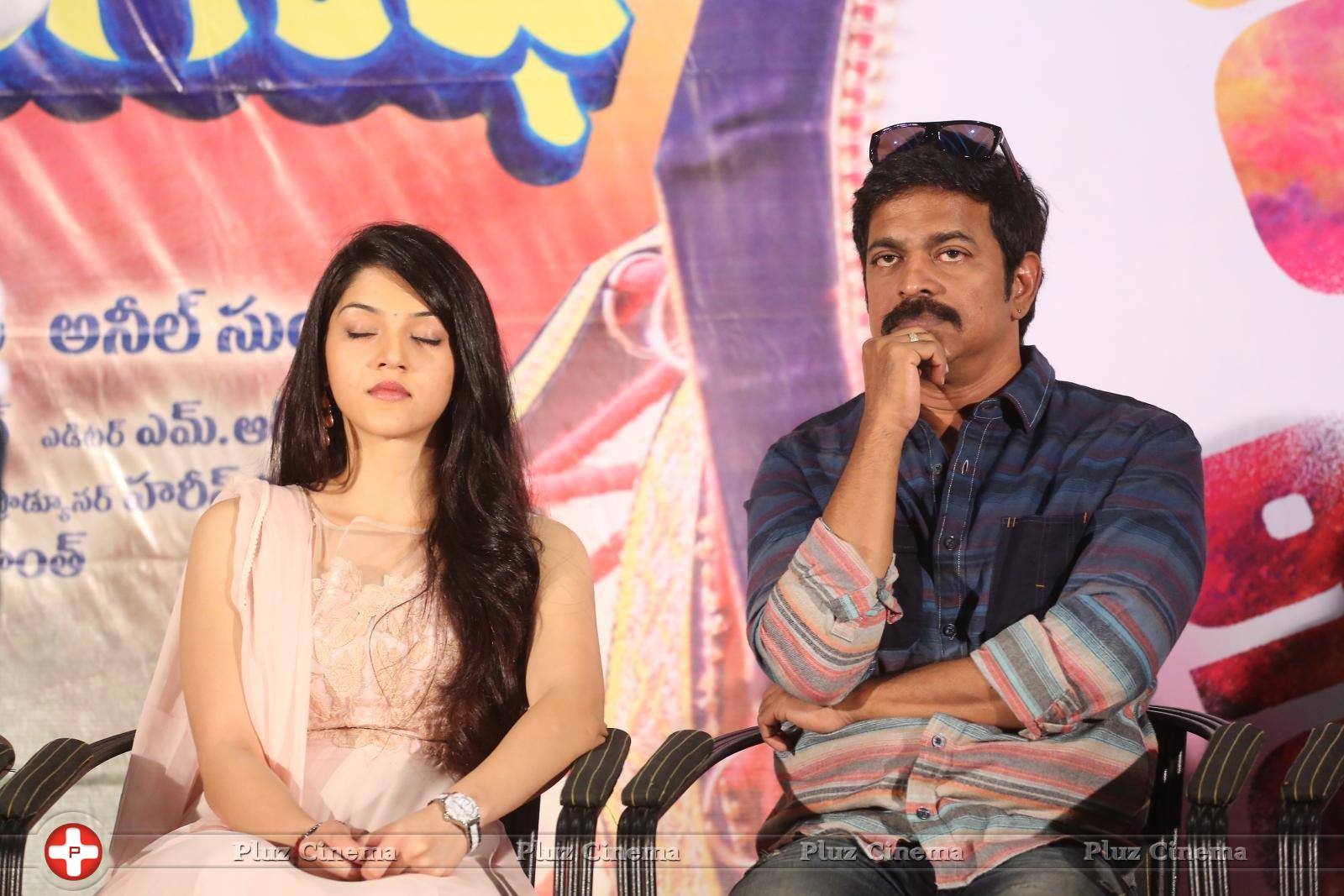 Krishna Gadi Veera Prema Gadha Movie Thanks Meet Stills | Picture 1235611