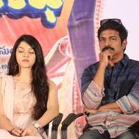 Krishna Gadi Veera Prema Gadha Movie Thanks Meet Stills | Picture 1235611