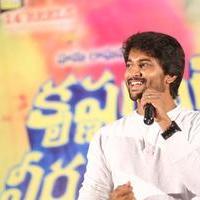 Krishna Gadi Veera Prema Gadha Movie Thanks Meet Stills | Picture 1235620