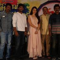 Krishna Gadi Veera Prema Gadha Movie Thanks Meet Stills | Picture 1235625