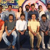 Krishna Gadi Veera Prema Gadha Movie Thanks Meet Stills | Picture 1235659