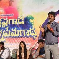 Krishna Gadi Veera Prema Gadha Movie Thanks Meet Stills | Picture 1235724