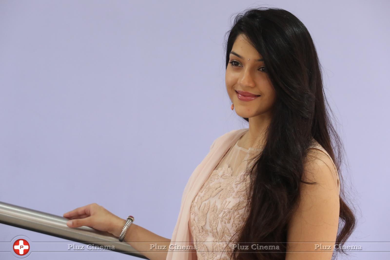 Mehreen Kaur at Krishna Gadi Veera Prema Gadha Movie Thanks Meet Stills | Picture 1236047