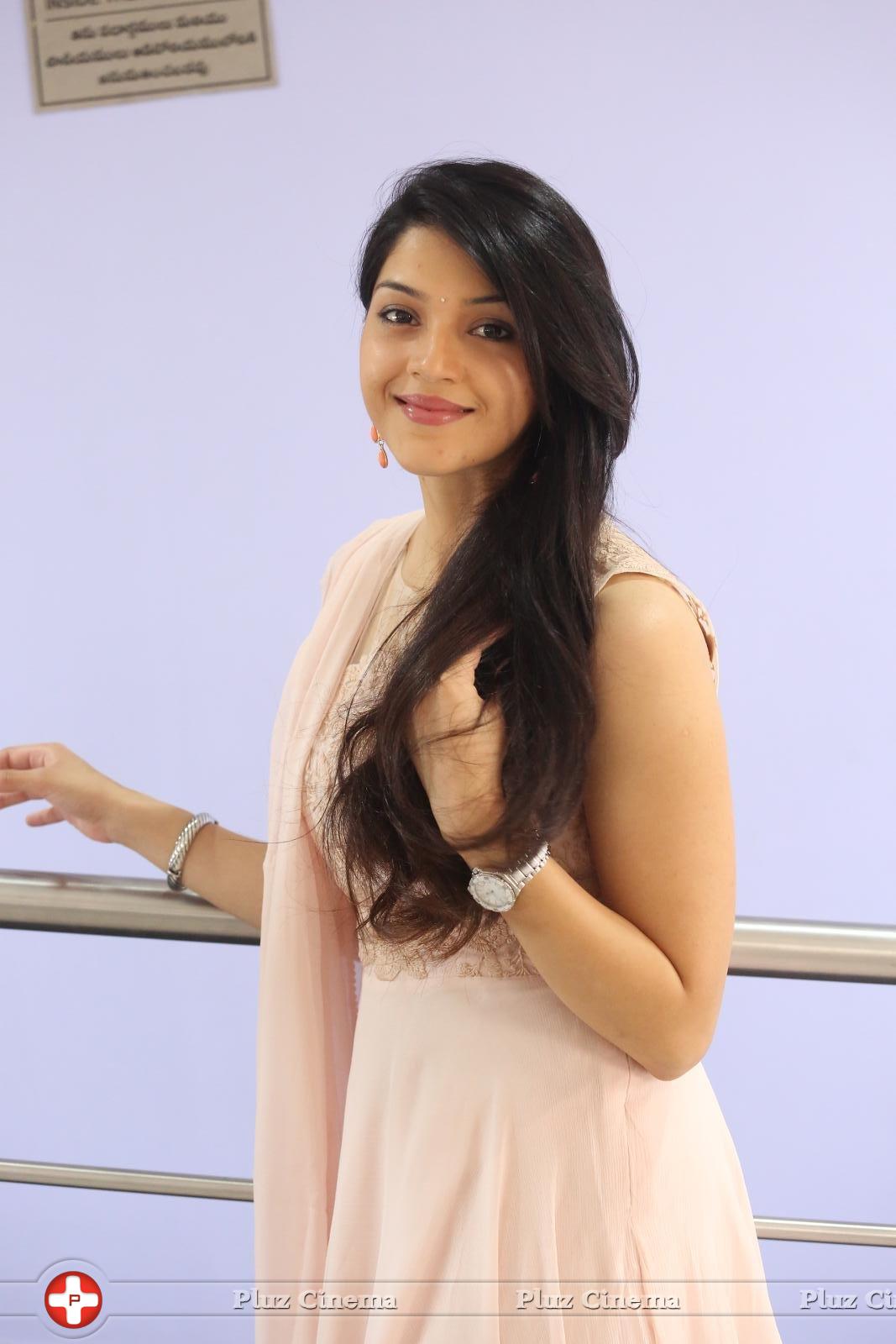 Mehreen Kaur at Krishna Gadi Veera Prema Gadha Movie Thanks Meet Stills | Picture 1236055