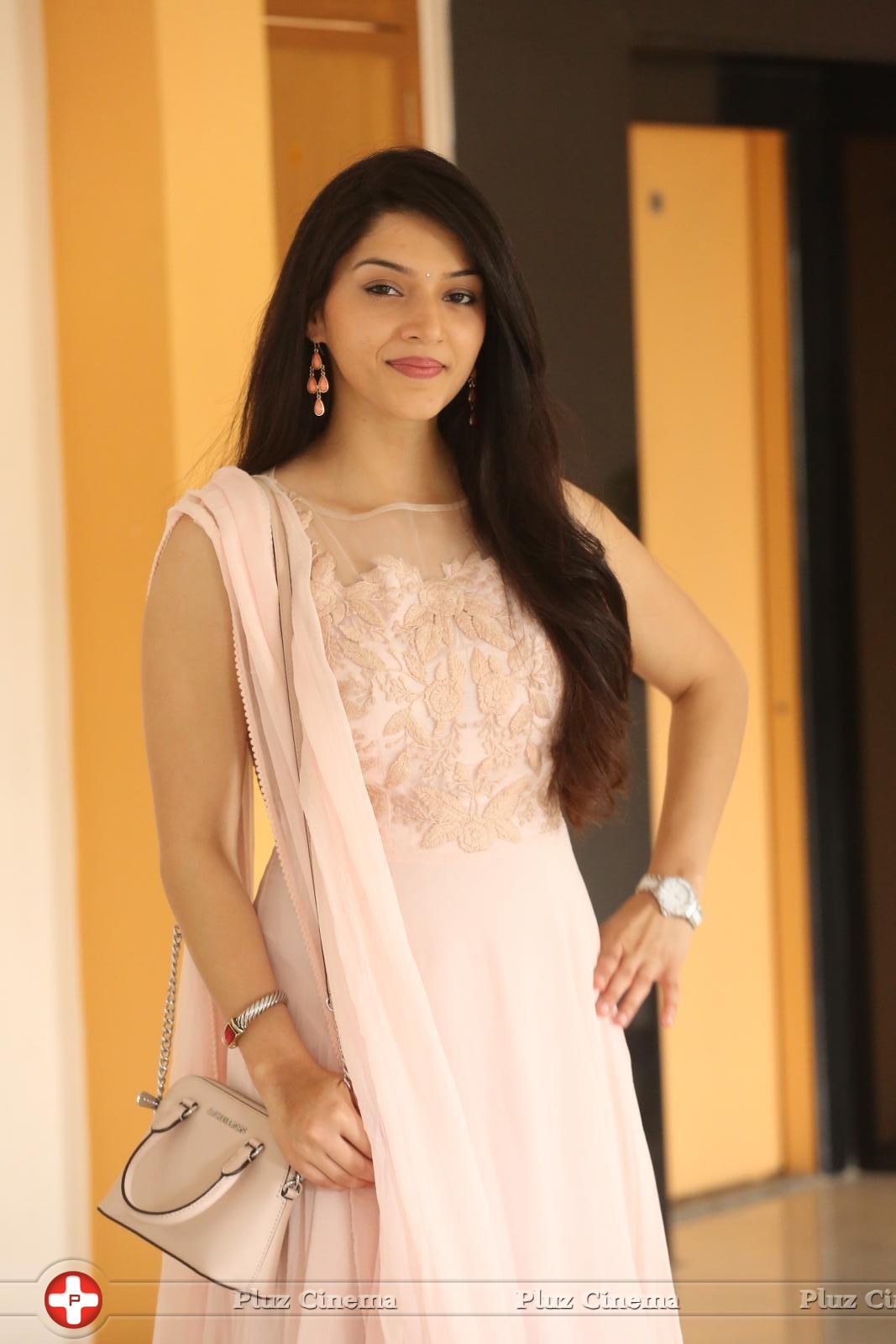 Mehreen Kaur at Krishna Gadi Veera Prema Gadha Movie Thanks Meet Stills | Picture 1236123