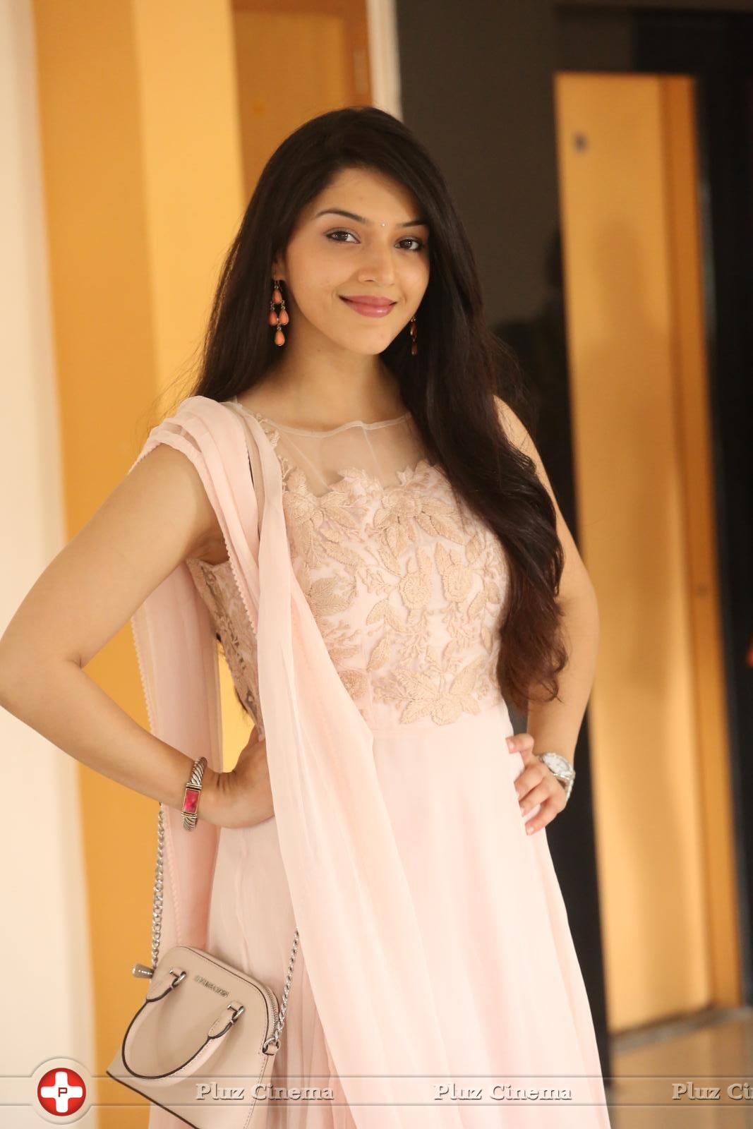 Mehreen Kaur at Krishna Gadi Veera Prema Gadha Movie Thanks Meet Stills | Picture 1236129